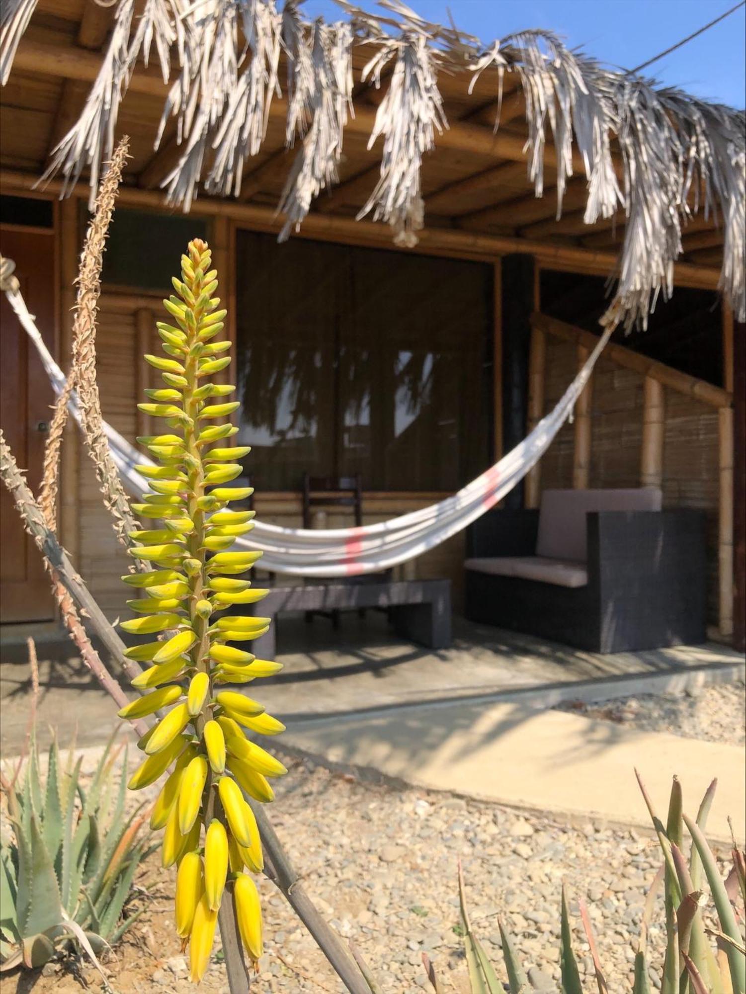 Wayra Lobitos Exterior foto